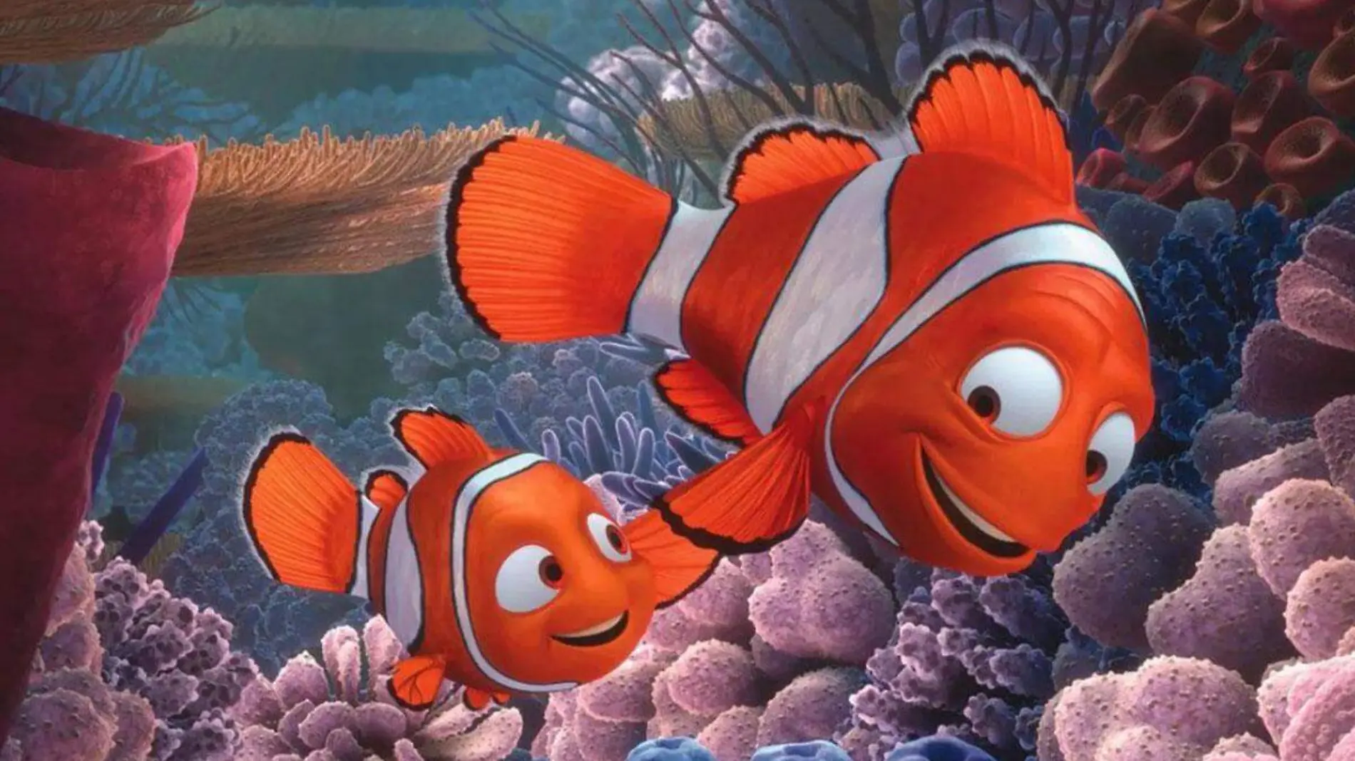 buscando a nemo